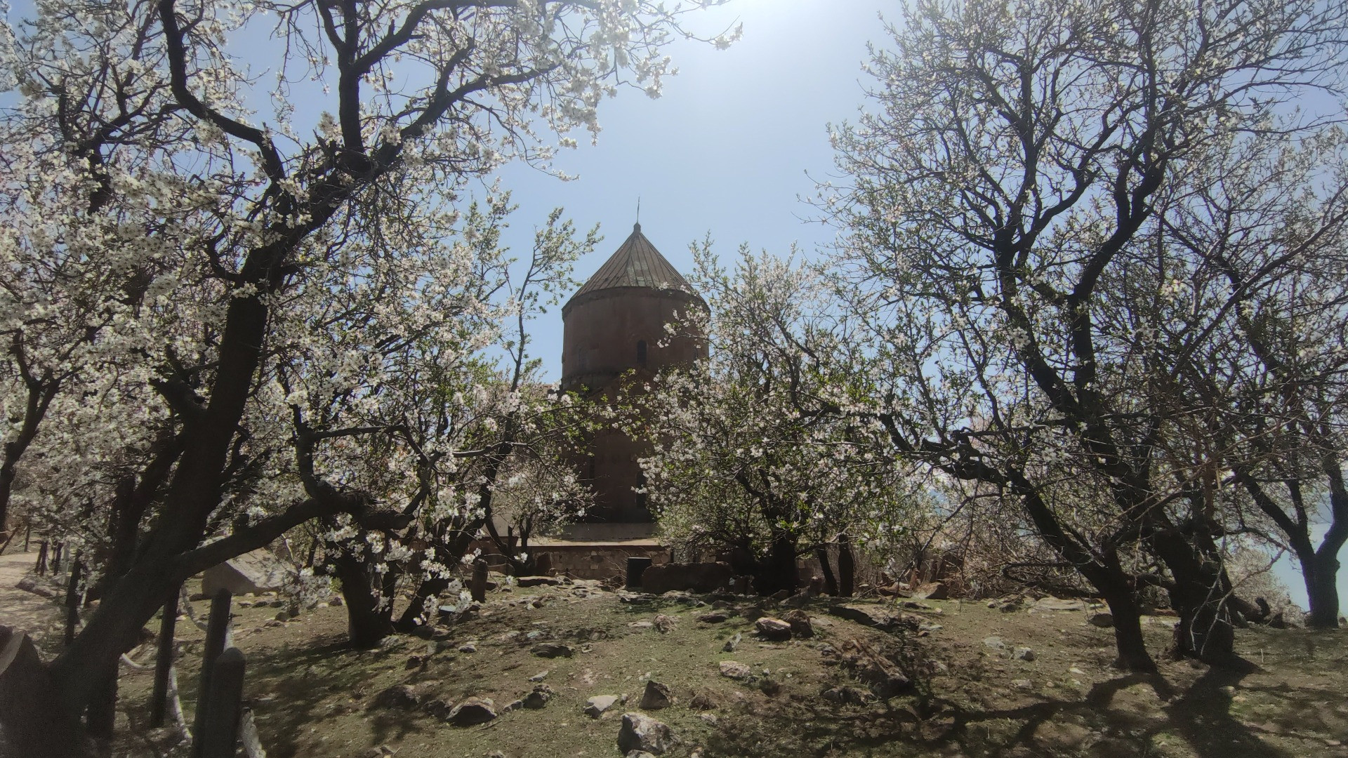 Akdamar Adası'nda ilkbahar güzelliği - Resim: 10