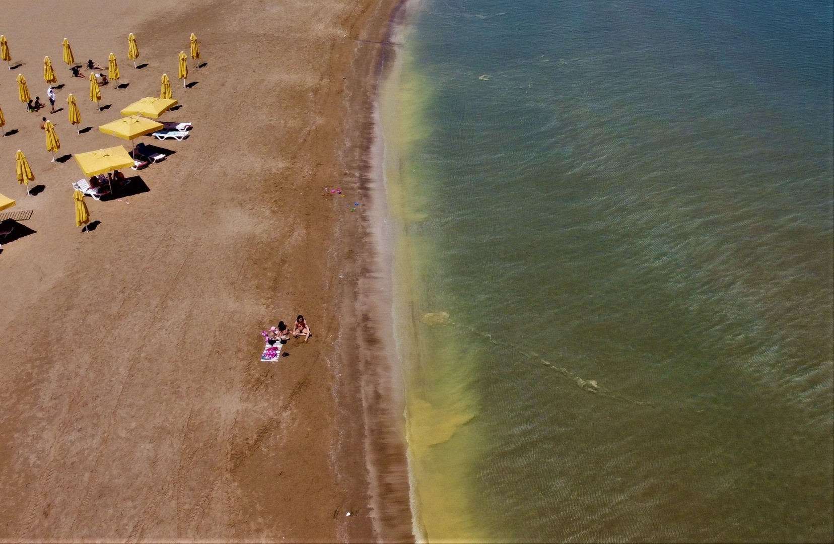 Mersin'de korkutan görüntü: Kızkalesi sahili başta olmak üzere birçok bölgede sahil sarıya büründü, binlerce arı telef oldu - Resim: 13