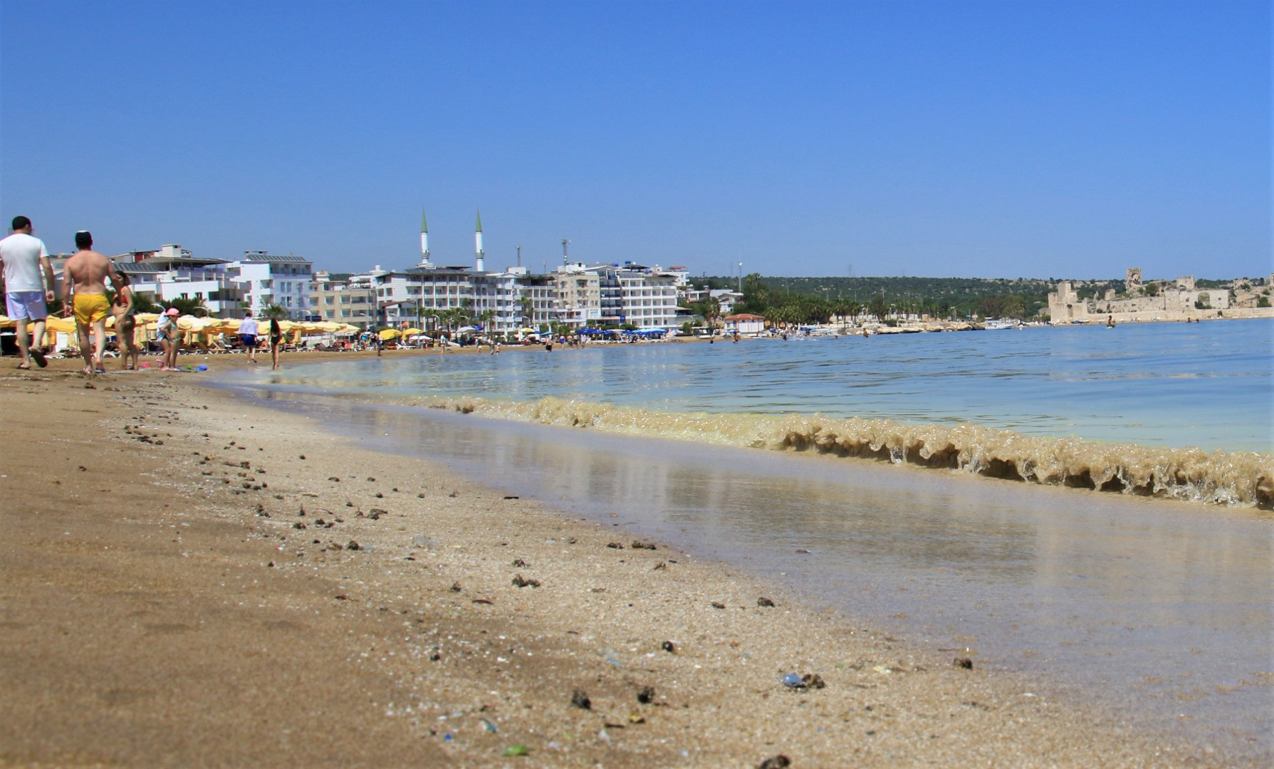 Mersin'de korkutan görüntü: Kızkalesi sahili başta olmak üzere birçok bölgede sahil sarıya büründü, binlerce arı telef oldu - Resim: 8