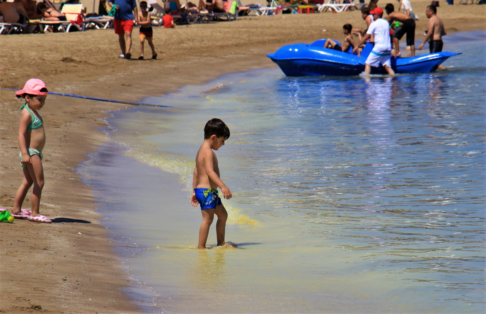 Mersin'de korkutan görüntü: Kızkalesi sahili başta olmak üzere birçok bölgede sahil sarıya büründü, binlerce arı telef oldu - Resim: 5