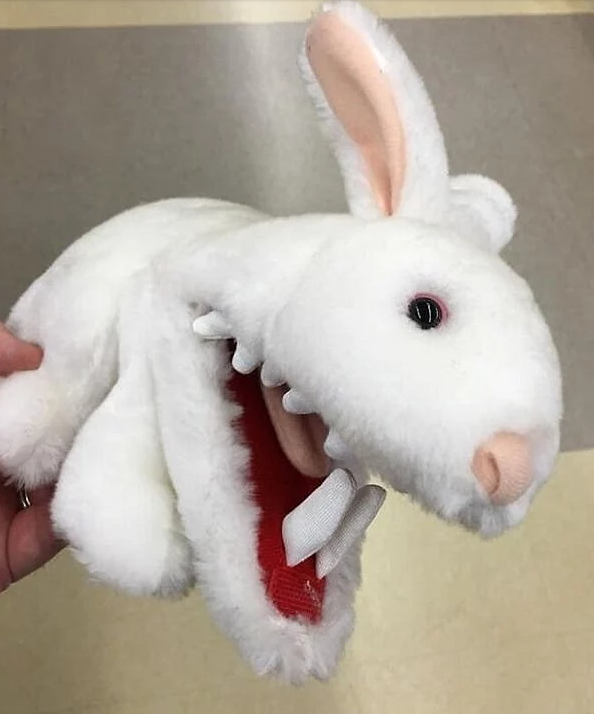 Dünyanın en farklı ve korkunç oyuncakları - Resim: 10