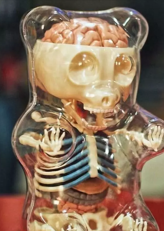 Dünyanın en farklı ve korkunç oyuncakları - Resim: 9