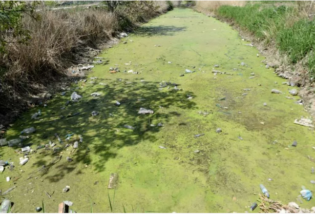 Bayır deresi öyle pis ki içinde at ölüsü bile var - Resim: 10