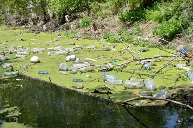 Bayır deresi öyle pis ki içinde at ölüsü bile var - Resim: 9