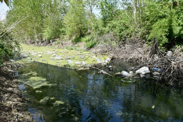 Bayır deresi öyle pis ki içinde at ölüsü bile var - Resim: 5