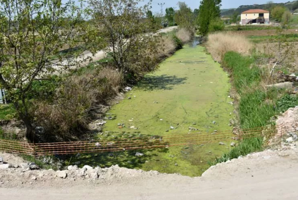 Bayır deresi öyle pis ki içinde at ölüsü bile var - Resim: 3