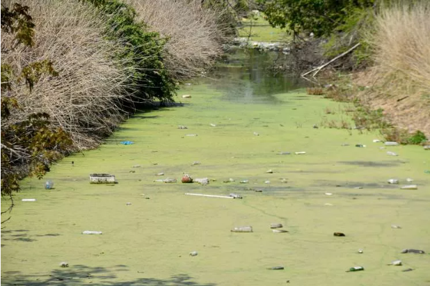 Bayır deresi öyle pis ki içinde at ölüsü bile var - Resim: 2