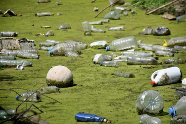 Bayır deresi öyle pis ki içinde at ölüsü bile var - Resim: 1