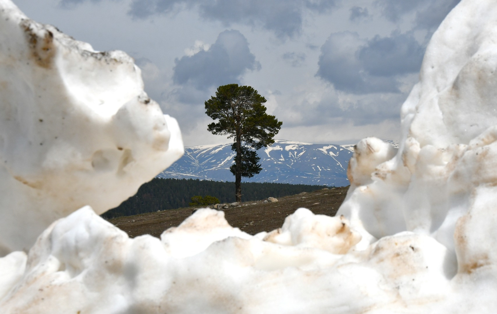 Görenler hayret ediyor. Sarıkamış'ta aynı anda iki mevsim - Resim: 6