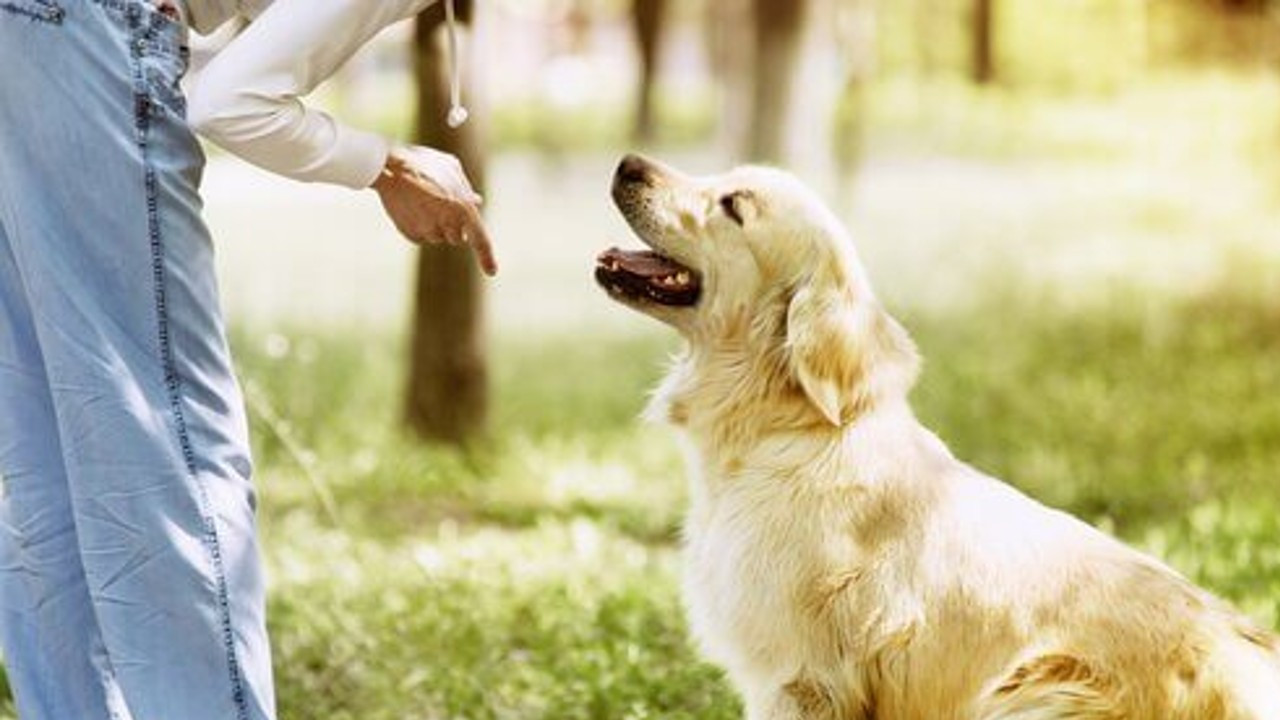Dünyanın en ilginç yasaklar listesi. Bu şehirde ölmek yasak - Resim: 10