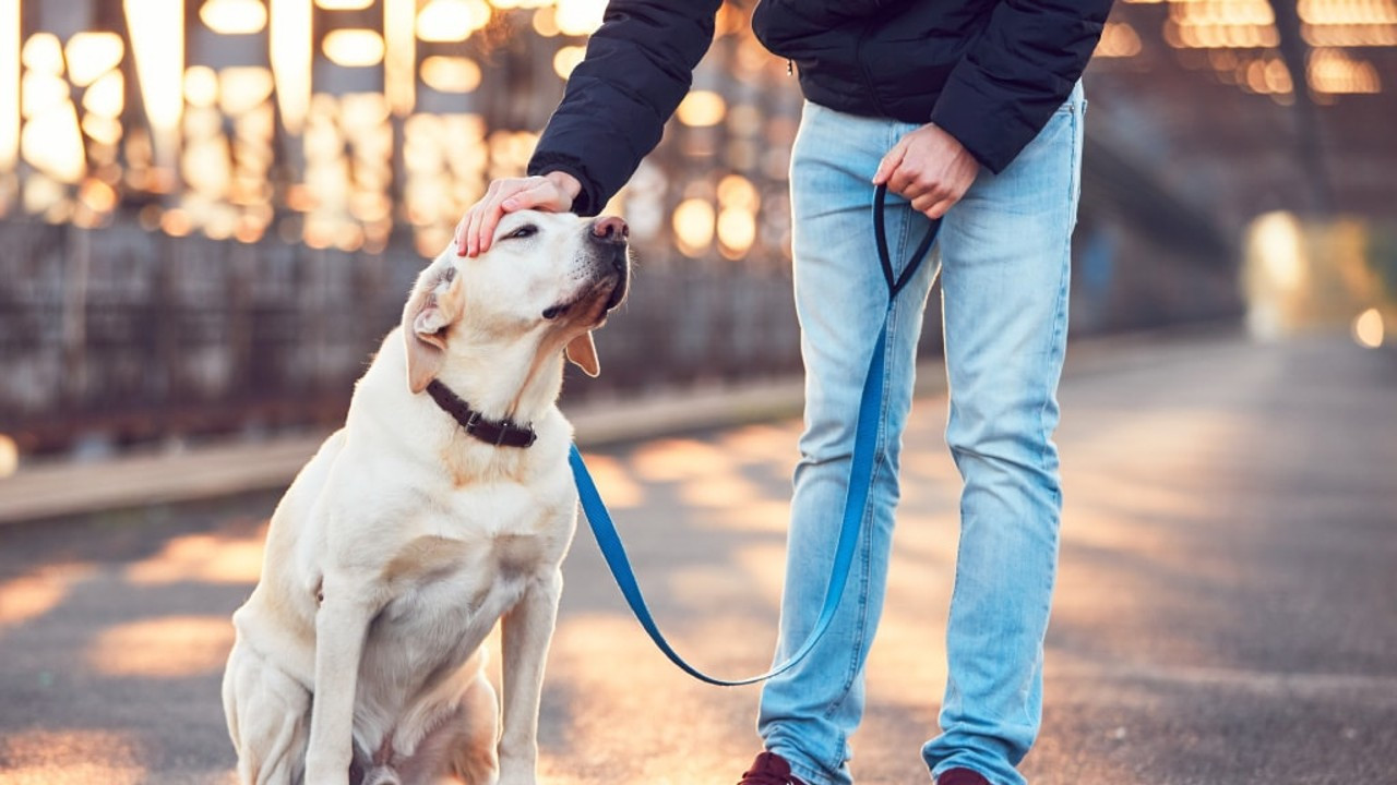 Dünyanın en ilginç yasaklar listesi. Bu şehirde ölmek yasak - Resim: 3