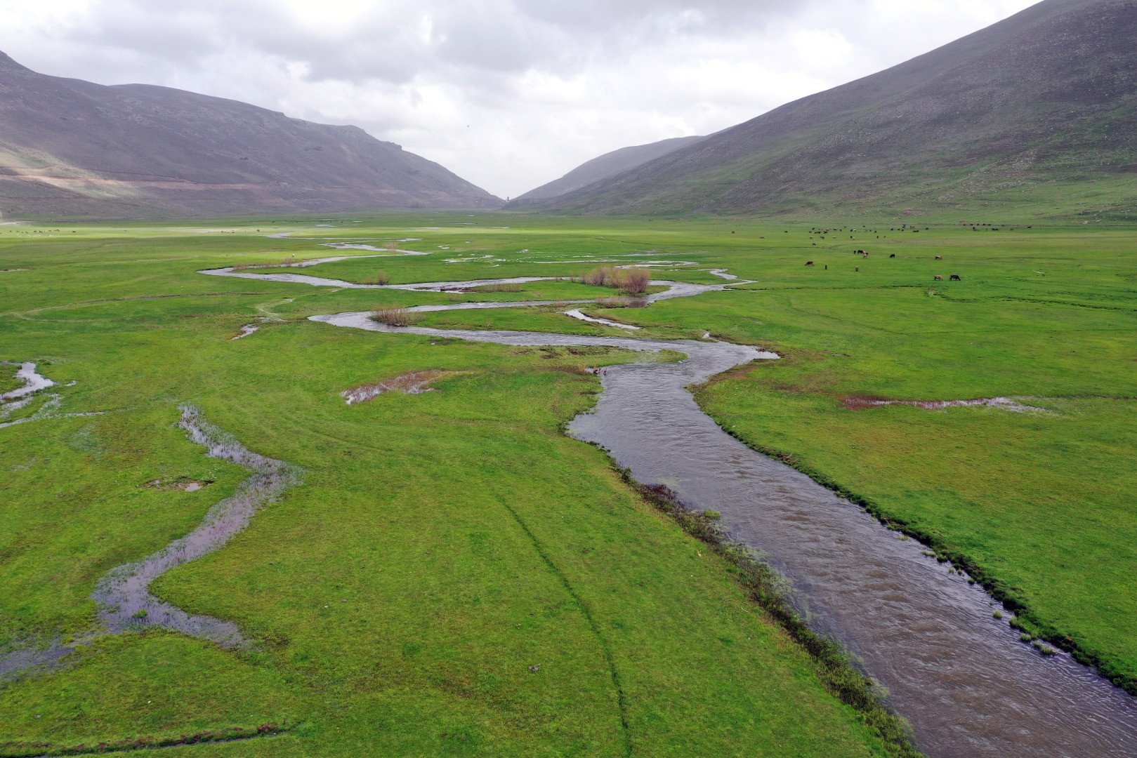 Iğdır’da ilkbahar renklerinin görsel şöleni görenleri büyüledi - Resim: 13