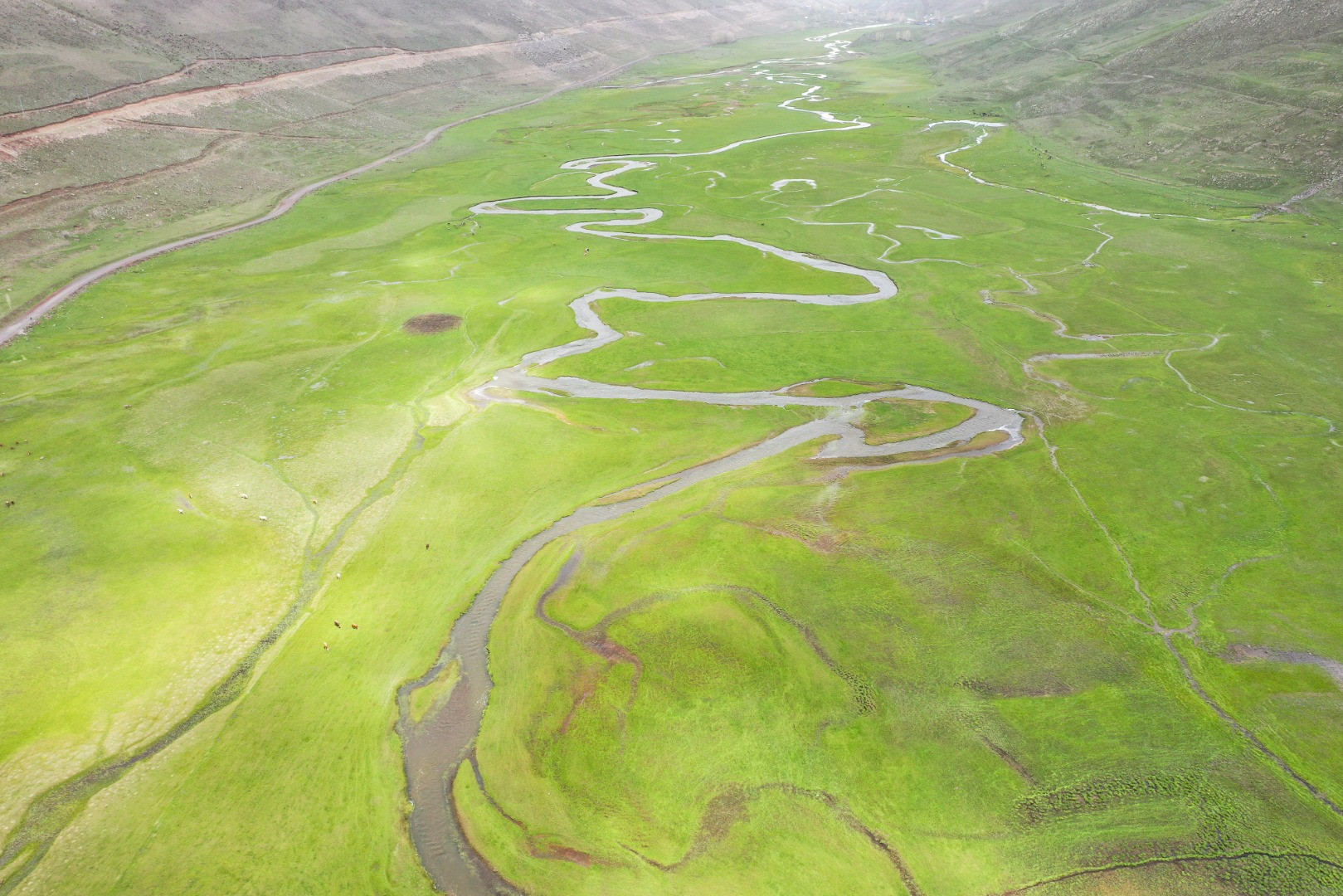 Iğdır’da ilkbahar renklerinin görsel şöleni görenleri büyüledi - Resim: 7