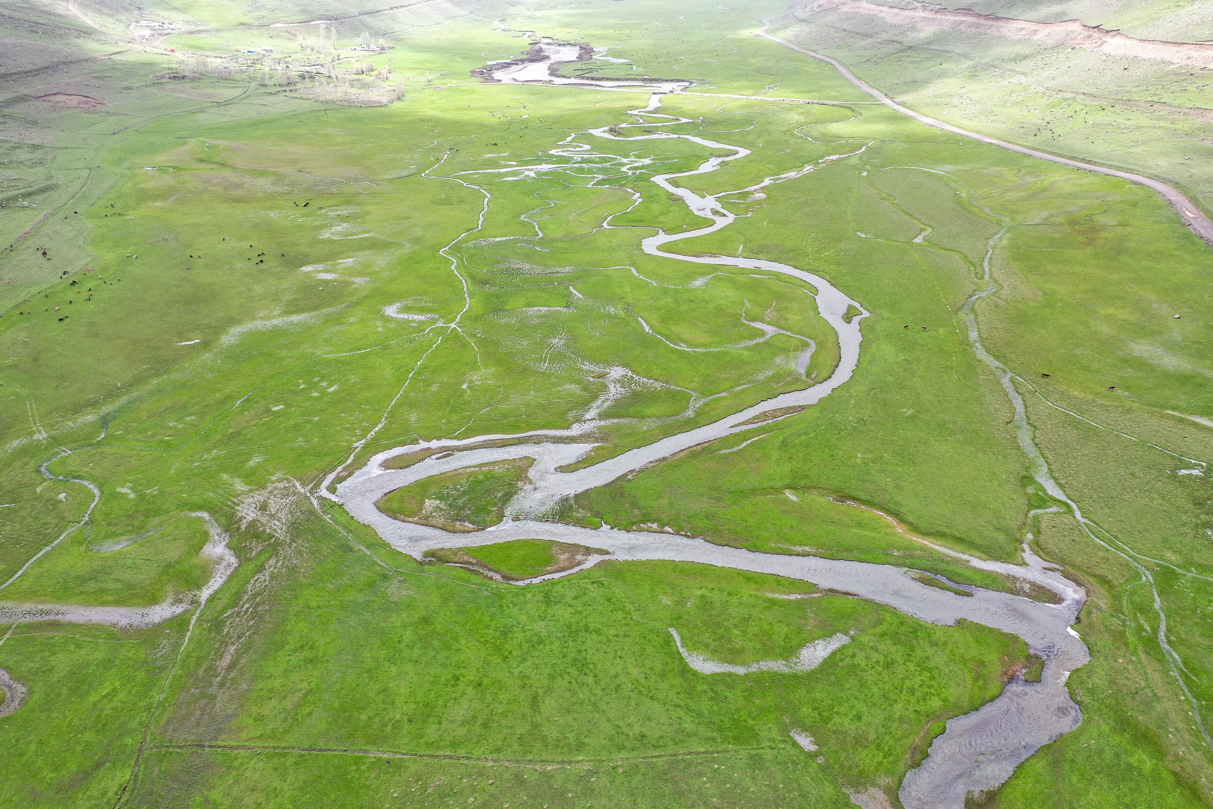 Iğdır’da ilkbahar renklerinin görsel şöleni görenleri büyüledi - Resim: 12