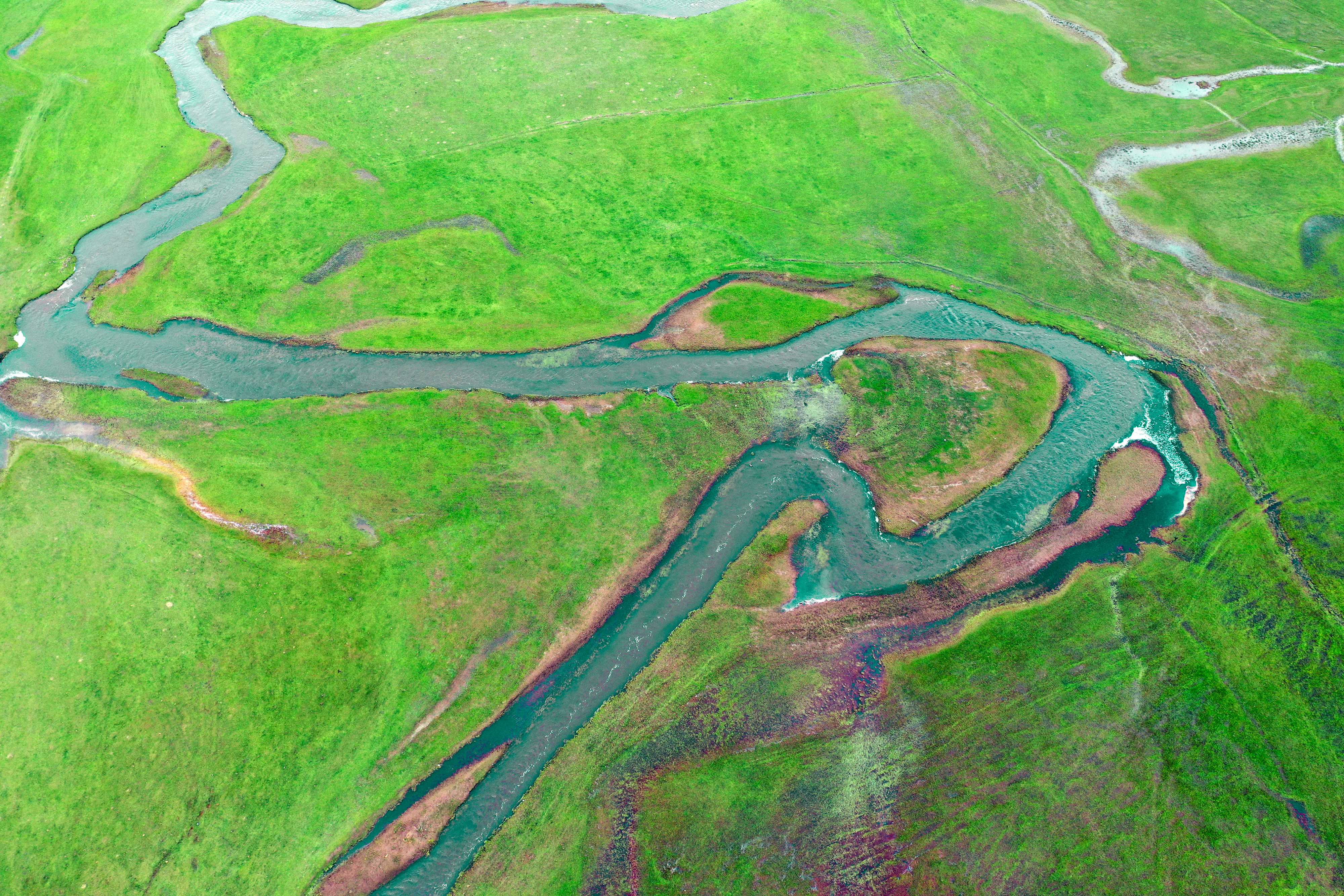 Iğdır’da ilkbahar renklerinin görsel şöleni görenleri büyüledi - Resim: 3