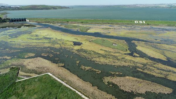 Büyükçekmece Gölü'nde tedirgin eden görüntü - Resim: 5