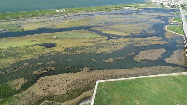 Büyükçekmece Gölü'nde tedirgin eden görüntü - Resim: 4