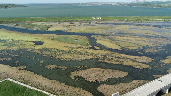 Büyükçekmece Gölü'nde tedirgin eden görüntü - Resim: 6