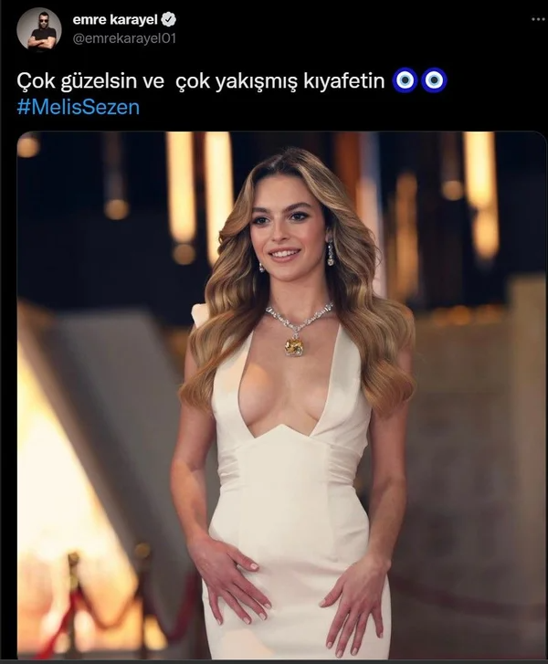 Melis Sezen’in dekoltesini hedef almıştı! Ünlülerden MHP’li eski vekile tepki yağdı - Resim: 7