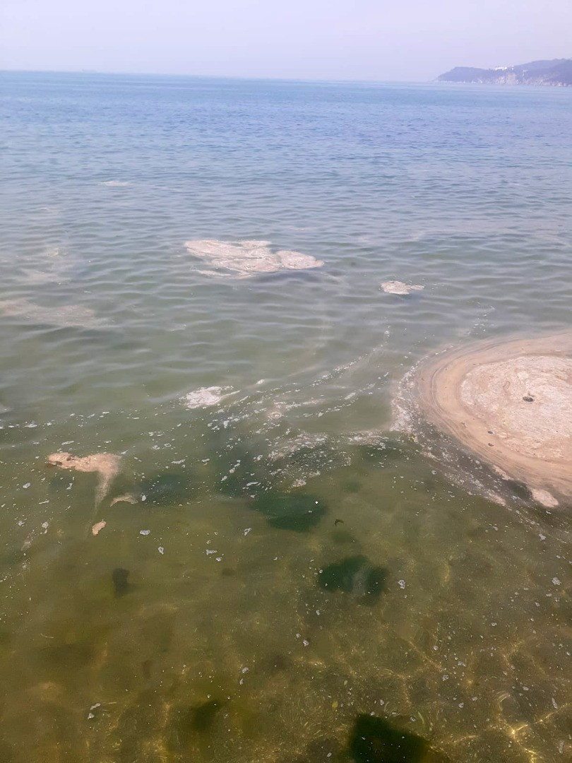 Büyükada'da müsilaj paniği - Resim: 3