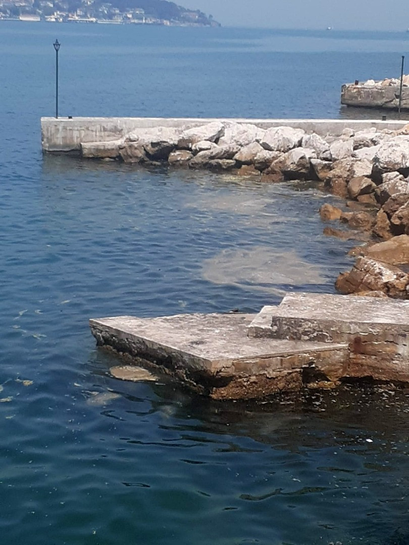 Büyükada'da müsilaj paniği - Resim: 4