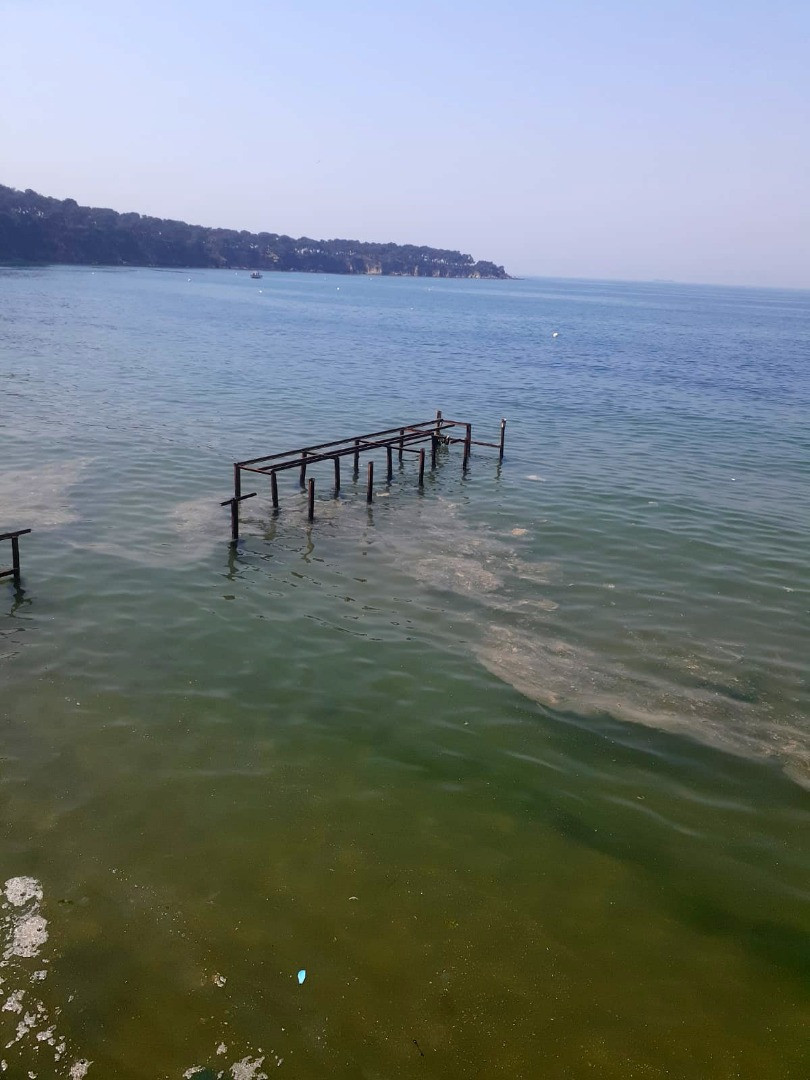 Büyükada'da müsilaj paniği - Resim: 5