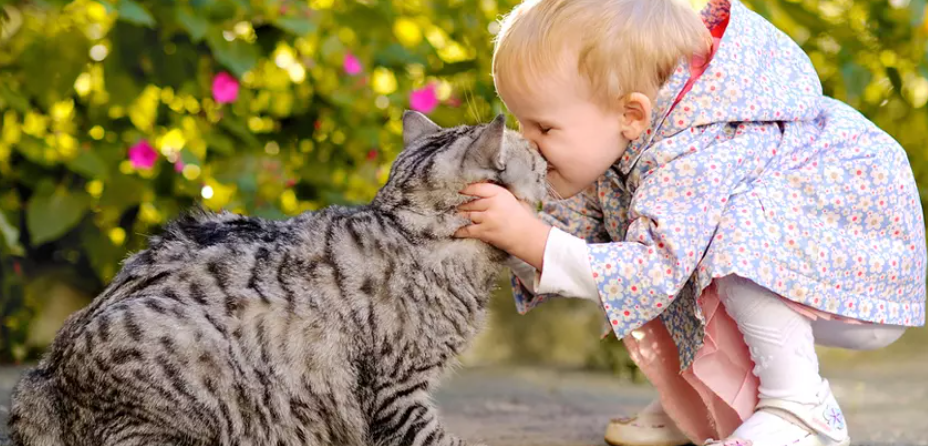 Türkiye’nin diğer ülkelere göre 17 maddelik karşılaştırması. Hangi yönlerimizle diğer ülkelerden öndeyiz? - Resim: 15