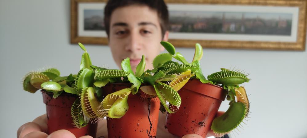 Yurt dışından getirdi yok satıyor. Sadece sinek ve böcekle besleniyor - Resim: 4