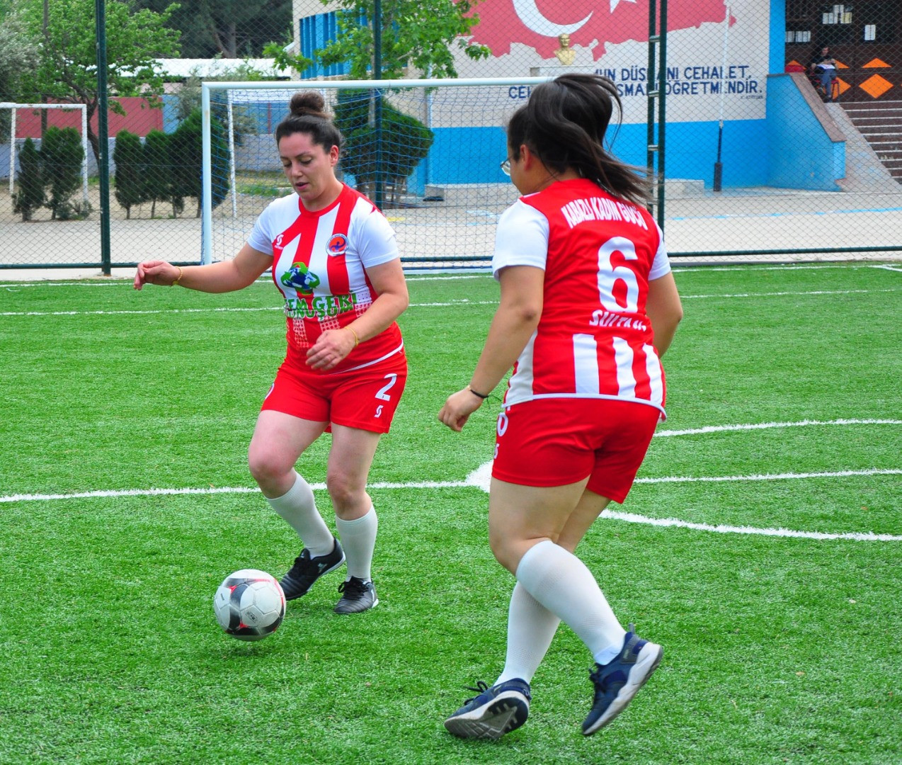 Gündüz üzüm bağında, akşam halı sahada - Resim: 9