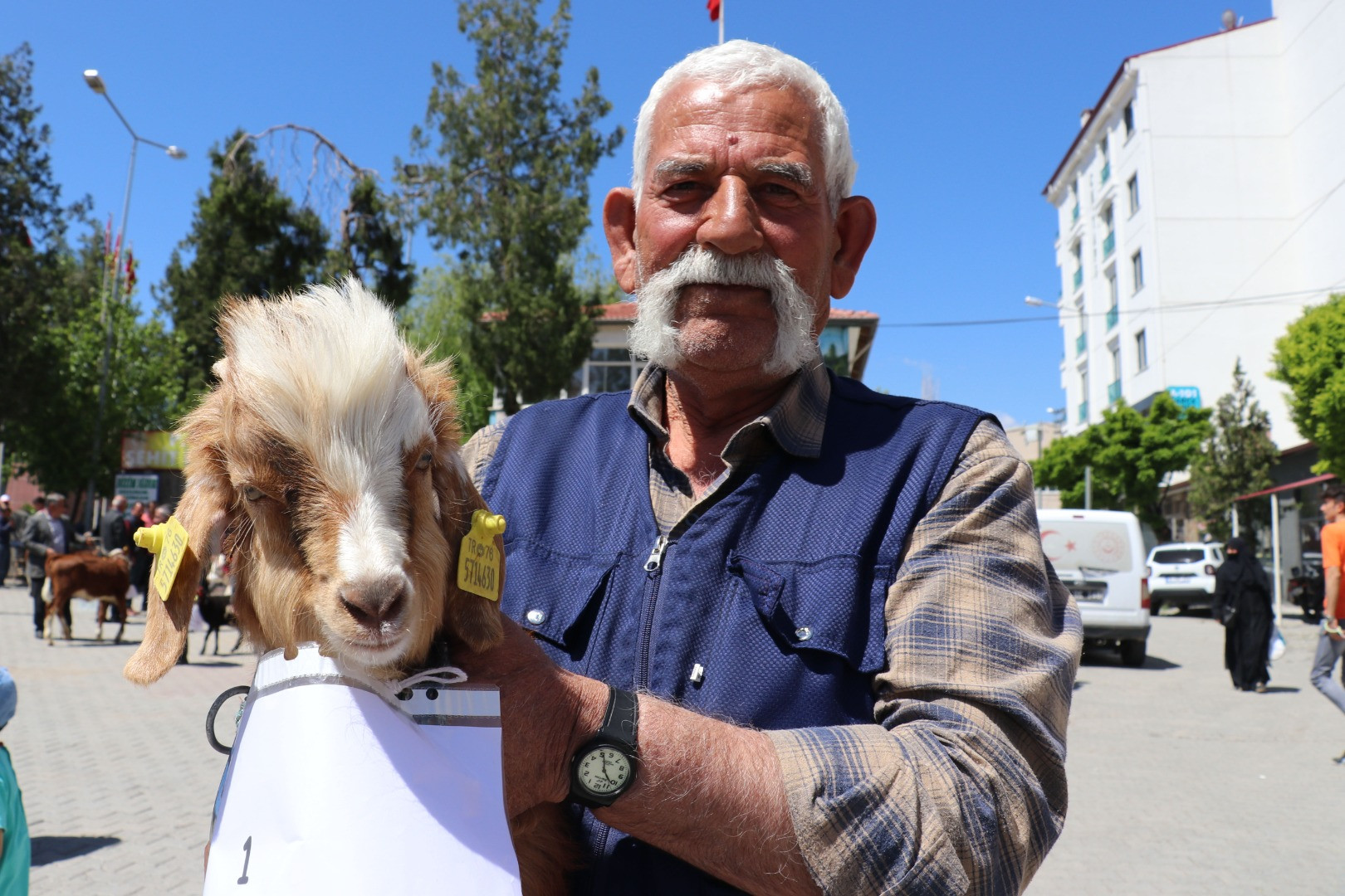 'En Güzel Buzağı Yarışması' renkli görüntüler oluşturdu - Resim: 11