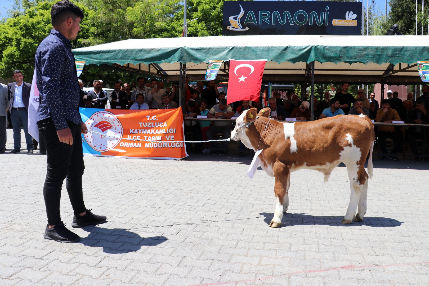 'En Güzel Buzağı Yarışması' renkli görüntüler oluşturdu - Resim: 5