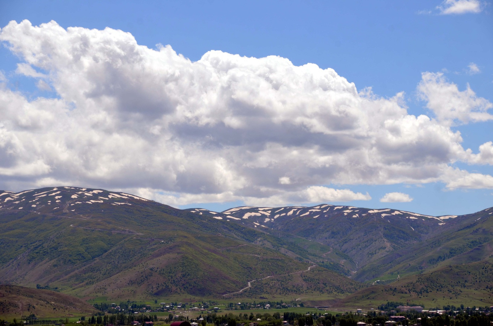Muş Ovası baharın renklerine büründü - Resim: 3