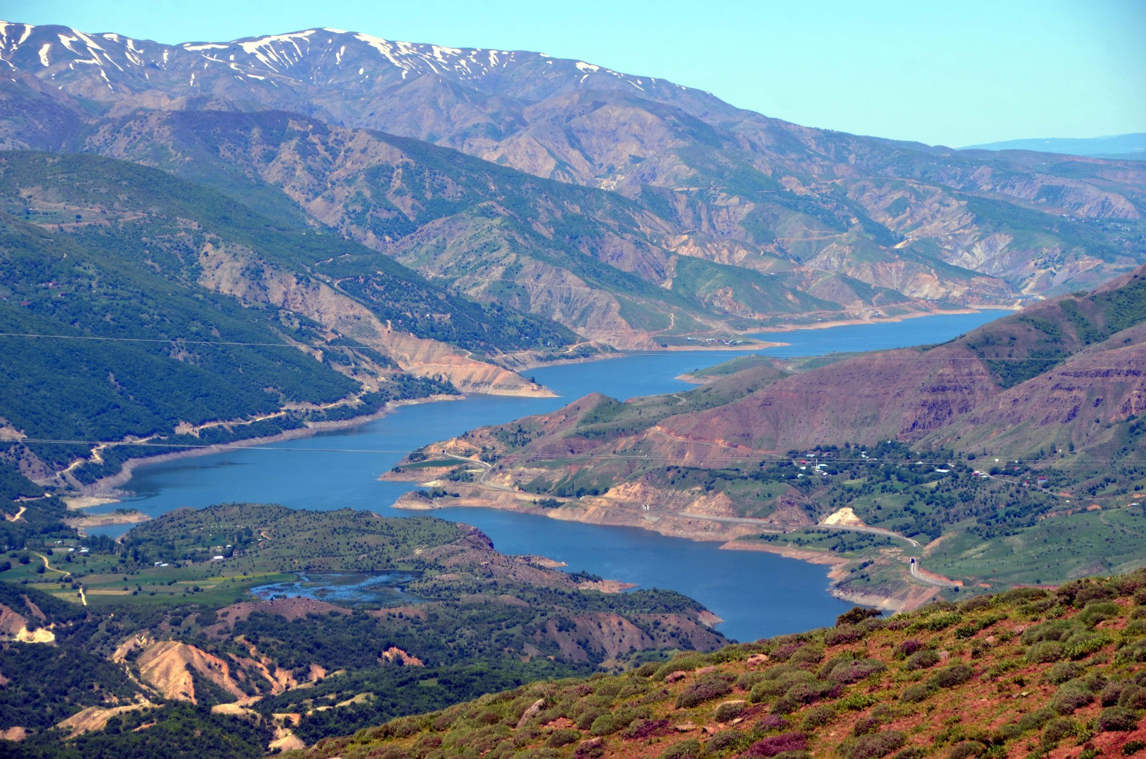 Muş Ovası baharın renklerine büründü - Resim: 5