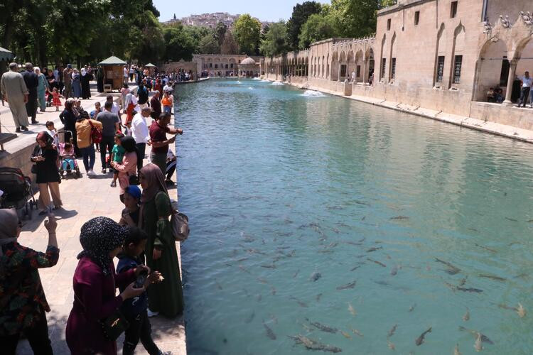 Şanlıurfa yanıyor, vatandaş çözüm arıyor! Mayıs ayında kavruldular… - Resim: 8
