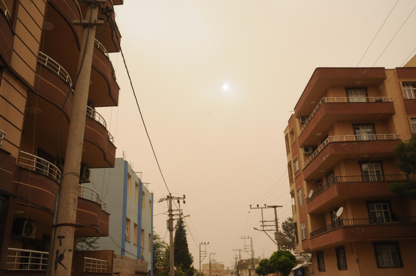 Şanlıurfa’da göz gözü görmedi. Toz bulutu her yeri kapladı - Resim: 4