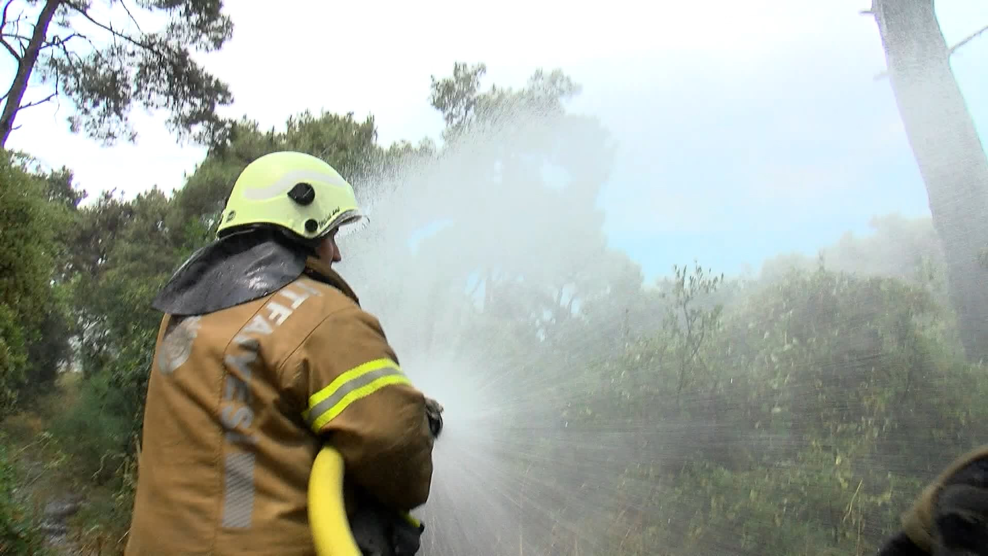 Adalar’da 'orman yangını' tatbikatı - Resim: 5