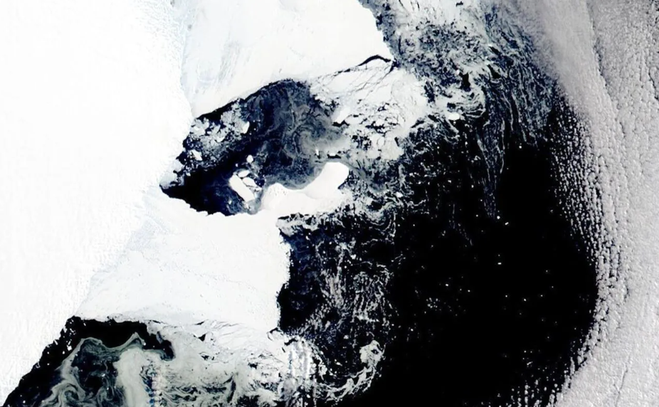 Dünyanın derinliklerinde gizli yaşam. Yerin yüzlerce metre altında şaşırtan manzara - Resim: 9