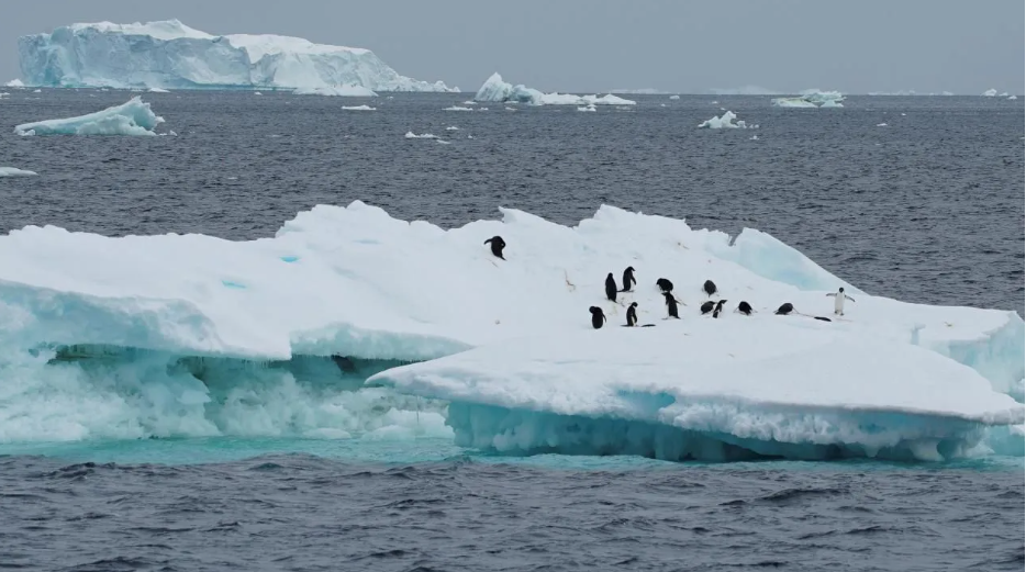 Dünyanın derinliklerinde gizli yaşam. Yerin yüzlerce metre altında şaşırtan manzara - Resim: 2