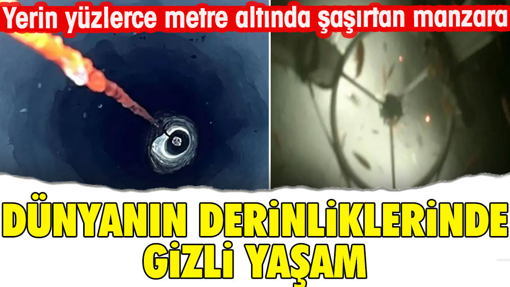 Dünyanın derinliklerinde gizli yaşam. Yerin yüzlerce metre altında şaşırtan manzara - Resim: 1