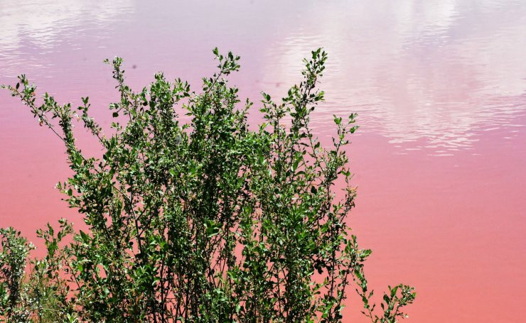 Türkiye'nin en uzun nehri Kızılırmak, adı gibi akmaya başladı - Resim: 16