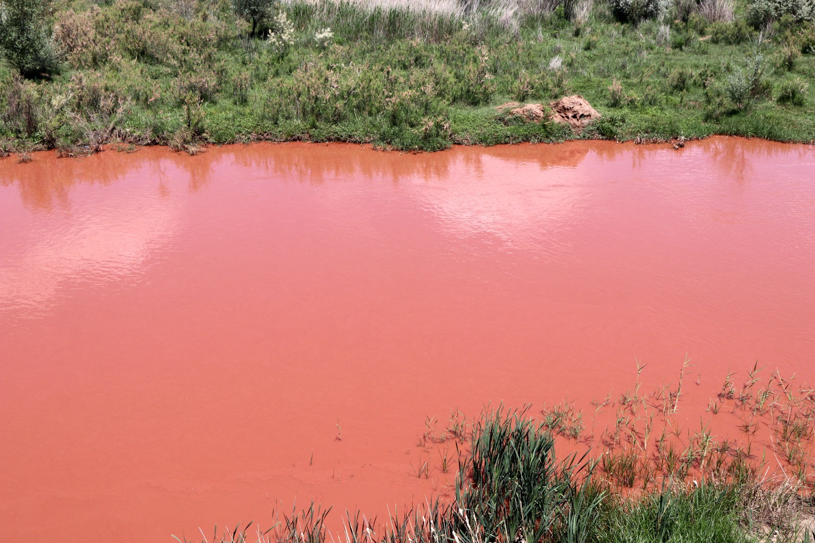 Türkiye'nin en uzun nehri Kızılırmak, adı gibi akmaya başladı - Resim: 2