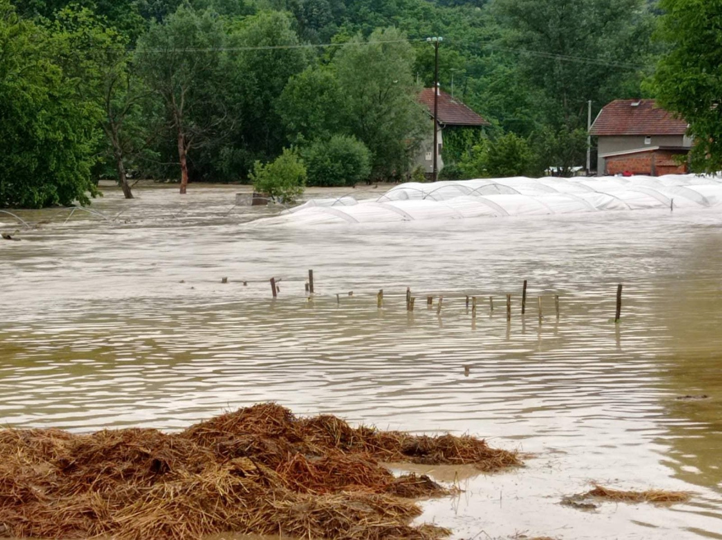 Bosna Hersek sele teslim oldu - Resim: 8