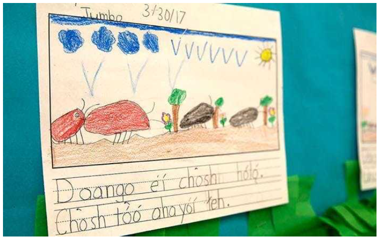 Dünyanın en zor öğrenilen 25 dili - Resim: 3