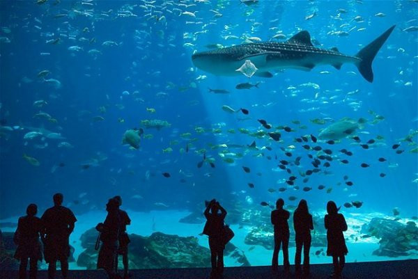 İşte dünyanın enleri - Resim: 19