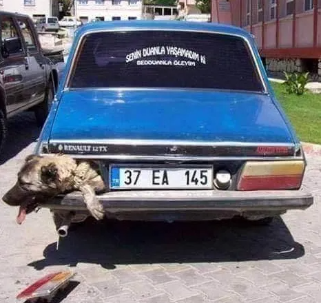 Bu fotoğraflara çok güleceksiniz: Yurdum insanından güldüren ilanlar, afişler - Resim: 44