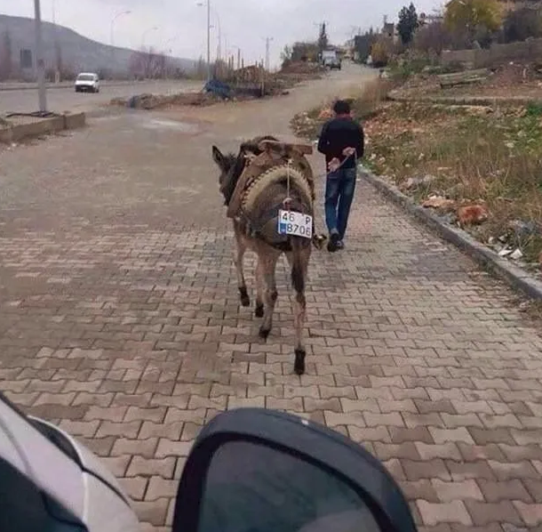 Bu fotoğraflara çok güleceksiniz: Yurdum insanından güldüren ilanlar, afişler - Resim: 40