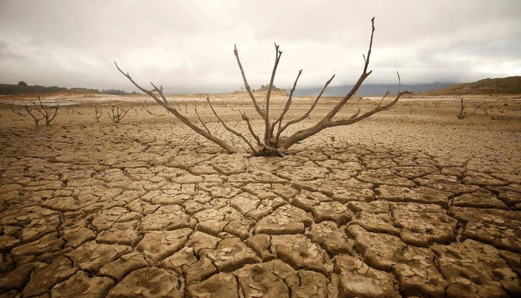 Bulgar asıllı kahin Baba Vanga'nın yeni kehanetleri tüyler ürpertti - Resim: 23