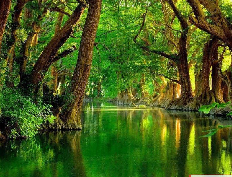 Bulgar asıllı kahin Baba Vanga'nın yeni kehanetleri tüyler ürpertti - Resim: 13