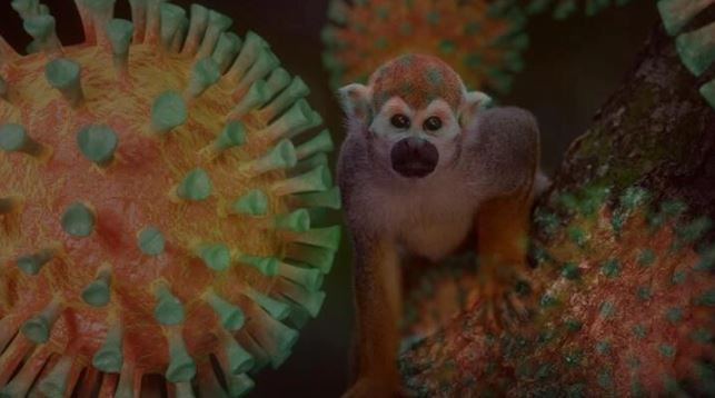 Bulgar asıllı kahin Baba Vanga'nın yeni kehanetleri tüyler ürpertti - Resim: 5