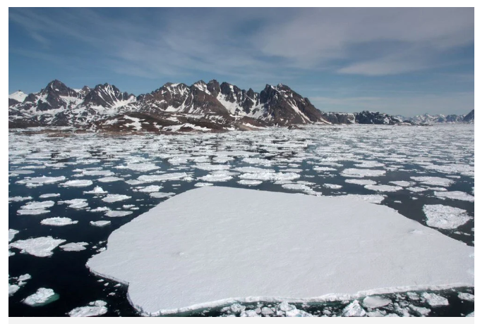 Balıklar kanser oldu: Yayılma ve bulaşmada etkili olabilir - Resim: 7